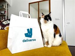 Un ordine su Deliveroo per la gattina Livia, a Roma